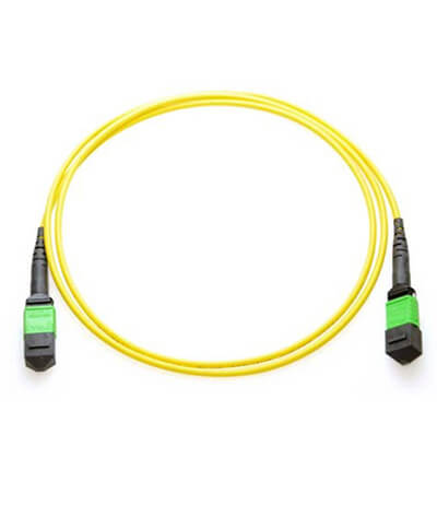 MTP/MPO Fiber Patch Cable